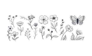 Obraz premium Botanical line art vector illustration set with wild flowers and butterfly