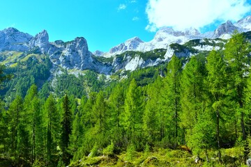 Mountains with Triglav peak above Krma alpine valley and a green larch forest in Julian alps, Gorenjska, Slovenia © kato08