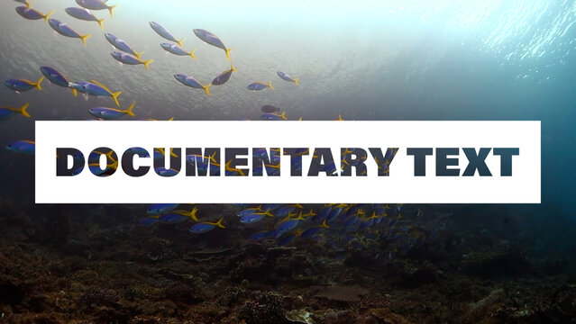 Animated Documentary Text