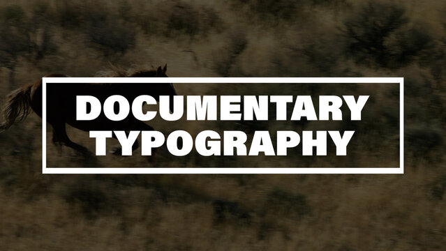 Documentary Typography