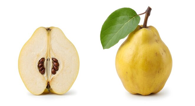 Fresh yellow quince fruit whole and half cut isolated on white background, organic ripe quince set for healthy jam and autumn dessert recipe