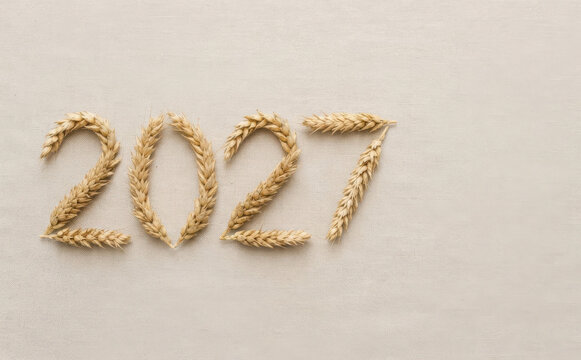 Year 2027 spelled out with natural wheat ears on a neutral beige background representing agriculture harvest future time and celebration