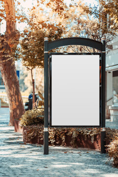Vertical advertising mockup with a clean blank poster in a freestanding black street display, surrounded by sunlit trees and autumn foliage on an urban sidewalk