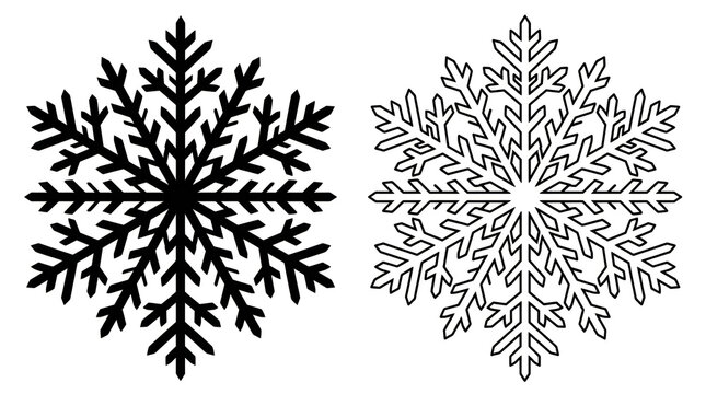 Detailed snowflake vector illustrations