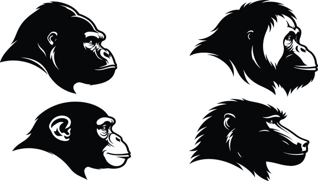 Black silhouette vector illustration set of different primate heads including gorilla, chimpanzee, and baboon