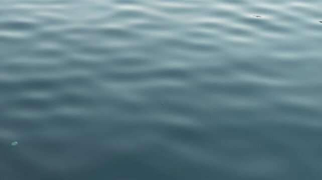 Tranquil and serene water surface gently rippling with soft waves creating a soothing background