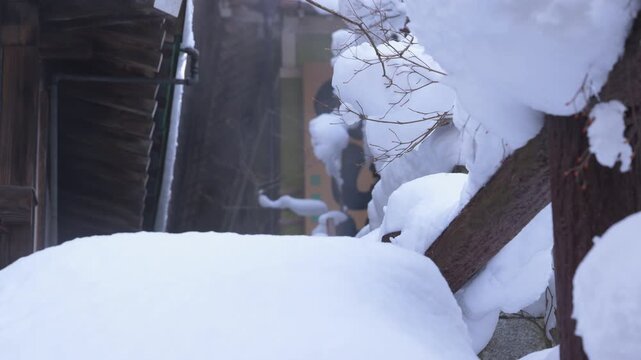 こんもりと雪が積もった木々と温泉街の建物のスローモーション