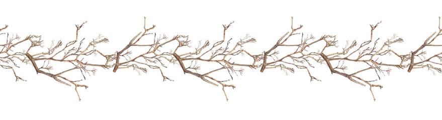 Fototapeta premium Watercolor seamless border with bare tree branches on white background. Autumn or winter hand-drawn botanical rim for card or textile and modern branding. Brown nature frame for wallpaper or wrapping