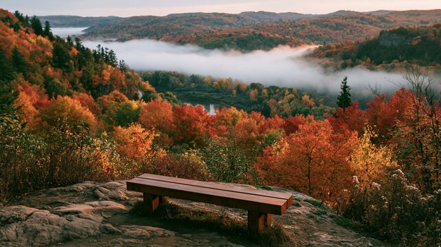 a serene autumn scene. A wooden bench sits on a rocky outcrop, overlooking a dense forest of vibrant autumn foliage in shades of red, orange, and yellow. A misty river flows through the forest.