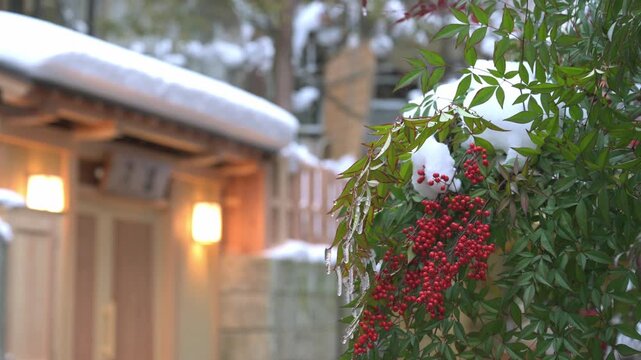 雪とつららを被った南天の赤い実と背景にぼける温泉宿の明かりのスローモーション