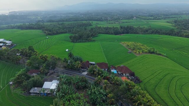 Lush green rice fields stretch across rolling hills. Aerial view captures neat terraces and winding paths. Villages dot the landscape with simple structures. Faint mist hangs over distant mountains