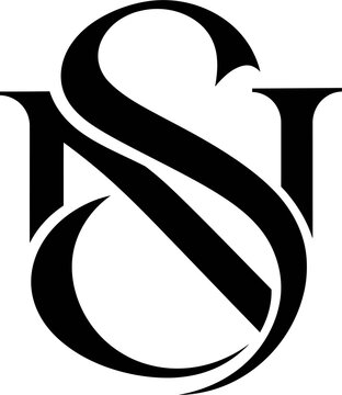 Elegant Interlocking Monogram Letters NS Vector Logo