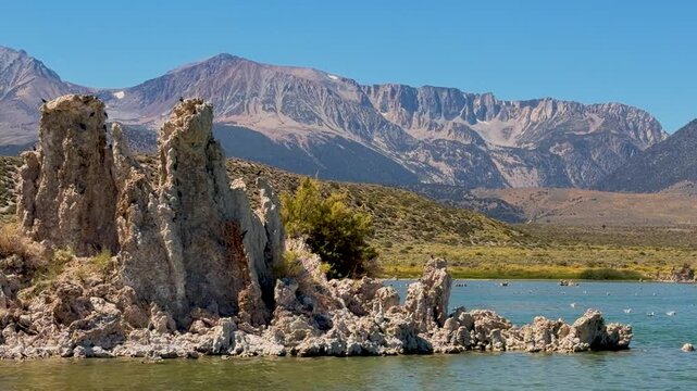 Detail of the strange and otherworldly tufa formations at Mono Lake, California on a bright summer day with the Sierra Nevada Mountains in the background.  The scene is alive with seagulls and smal
