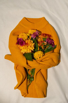 Creative arrangement in yellow sweater Selective focus Bush of autumnal orange red chrysanthemums and violet dahlia hydrangea. Fall garden beautiful flowers bouquet background. Blooming blossom