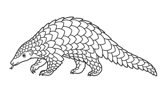 Pangolin Illustration Isolated on Transparent Background