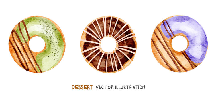 Watercolor vector donut set isolated on white background. Chocolate, Matcha, and grape flavor.