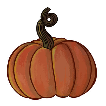 Pumpkin is a cultivated winter squash in the genus Cucurbita. Transparent background.