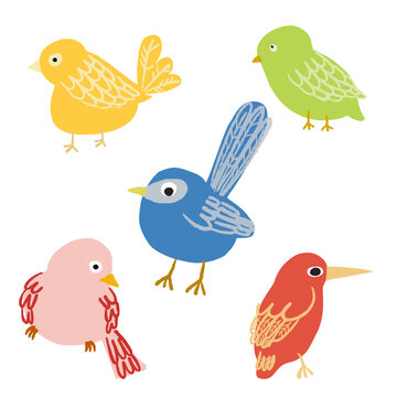 Birds vector hand draw cute cartoon illustration colorful 