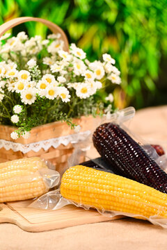 Assorted Vacuum Sealed Corn Cobs with Daisy Basket, Rustic Wood Setting