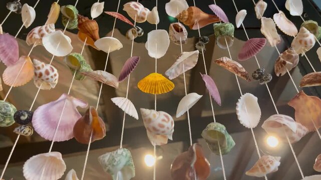 Various colorful seashell mobile hanging