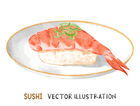 Shrimp sushi nigiri on white plate. Watercolor vector illustration.