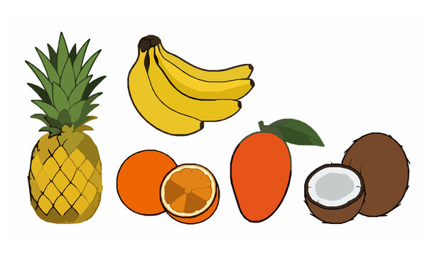 Tropical Fruits Vector Collection with Pineapple Banana Mango Orange and Coconut Isolated