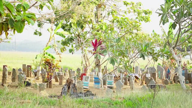 Peaceful Indonesian Cemetery Surrounded by Lush Trees