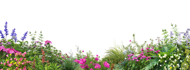 Obraz premium foreground flower gardens and meadows on a transparent background.