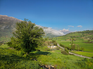 Winding road curves through green fields past a house, mist drifting over distant snow-capped peaks beneath a clear spring sky. 📍 Dorud, Sarvabad, Kurdistan  © Hawraman83