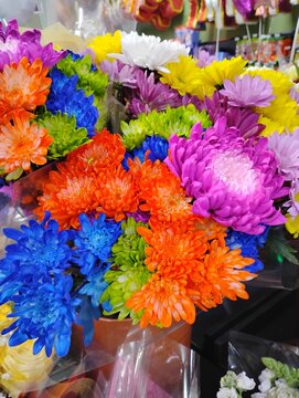 Colorful flowers