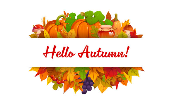 Hello autumn fall composition framed by pumpkins, fruit, vegetables, mushrooms, nuts and autumn leaves. Greeting card, seasonal poster. Cartoon vector cozy Thanksgiving invitation typography banner