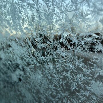 frosty natural pattern