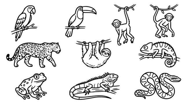 Hand drawn clean solid bold tropical rainforest animal icon set parrot toucan monkey jaguar sloth chameleon frog iguana anaconda, black ink vector illustration