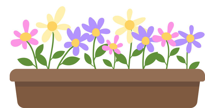 Colorful Flower Pot with Blooming Spring Flowers Vector Illustration
