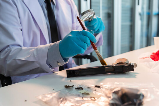 Forensic expert taking blood sample from gun