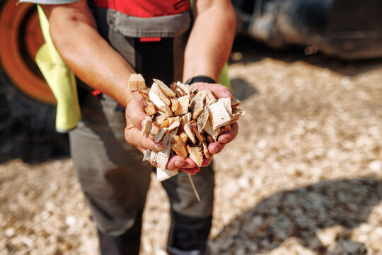 Person holding a handful of rough wood chips and bark pieces outdoors, with work clothing, blurred equipment, and textured ground in a rustic setting