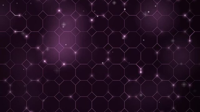 Purple Octagon Geometric Wireframe Grid with Twinkling Particles Background Loop