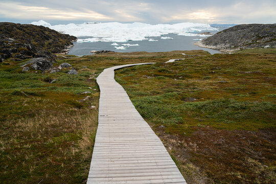 Hiking trail path in Greenland arctic nature landscape with icebergs in Ilulissat icefjord. Photo of scenery ice and iceberg in Greenland in summer.