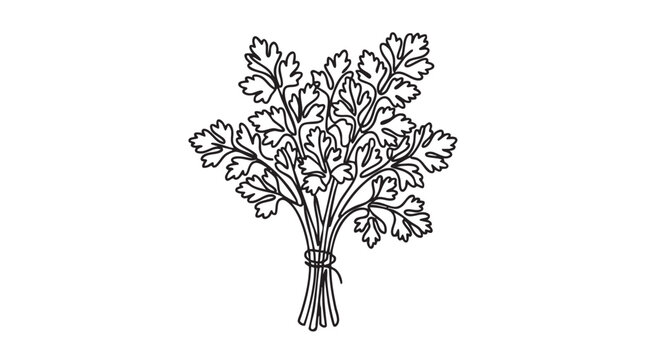 parsley bunch vector icon, continuous line art illustration for culinary design continuous line art vector icon