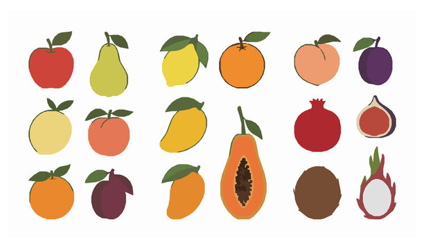 SEO Title:
Hand Drawn Botanical Fruit Collection Premium Flat Vector Illustration