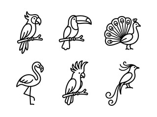 Fototapeta premium Minimalist Tropical Bird Line Art Icon Set and Vector Illustrations