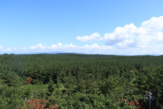 チェスボロー号遭難慰霊碑