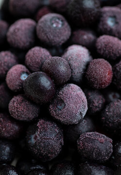 Defrosting Blueberries with Some Frost on Them