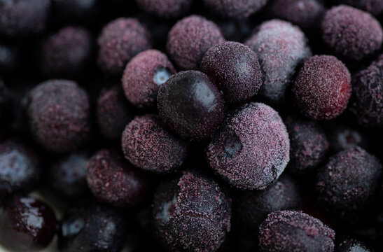 Defrosting Blueberries with Some Frost on Them