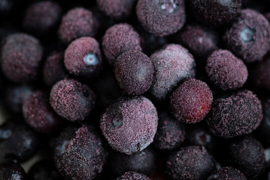 Defrosting Blueberries with Some Frost on Them