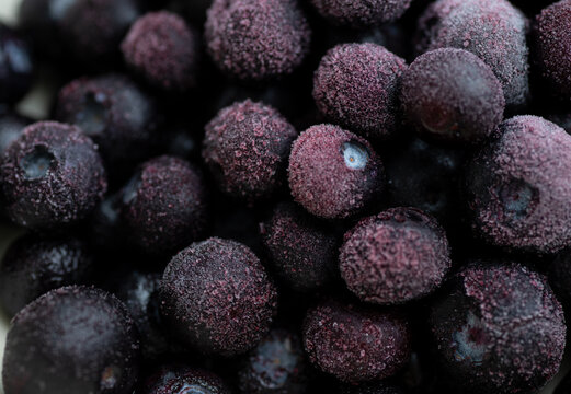 Defrosting Blueberries with Some Frost on Them