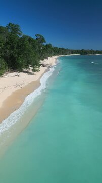 Secluded turquoise bay with empty sand panorama of untouched coastline dense canopy lining shore clear shallow water gentle surf remote tropical sanctuary azure sky, Alas Purwo, National Park, Java