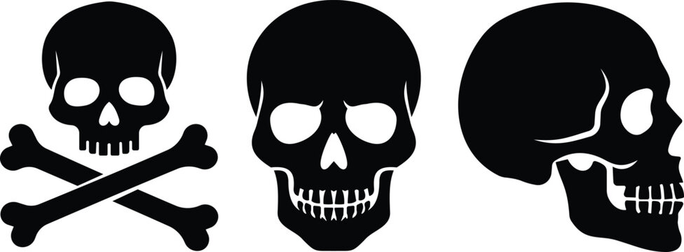 Human skull crossbones head bone icon set collection in black flat and line style editable halloween danger death elements group isolated on transparent background vector symbol