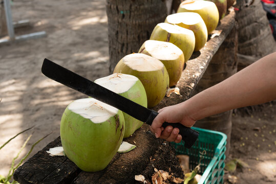 Close-up of a person's hand holding a machete to chop fresh green tender coconuts lined up on a wooden bench at a tropical fruit stand.