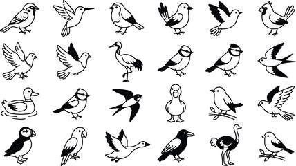 Fototapeta premium Minimalist bird icons set, black and white avian vector illustrations, collection of 24 flying and perched wild birds for nature branding